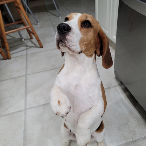 Meet your Posher, Stacey - Picture 1 of 1